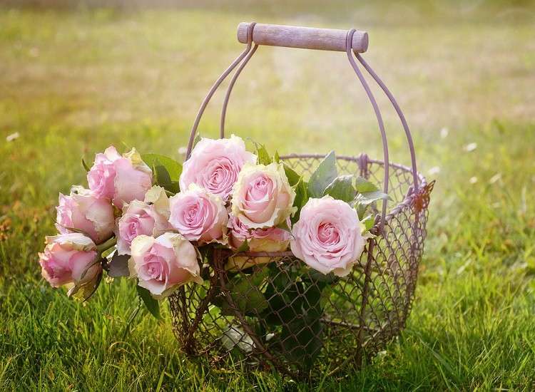 Roses in a basket. online puzzle