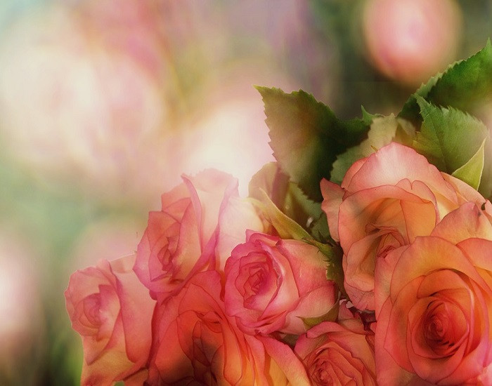 Rose Bouquet skládačky online