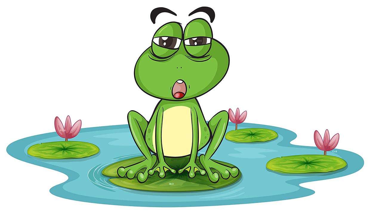 The Frog Mgad'S  06 pussel på nätet