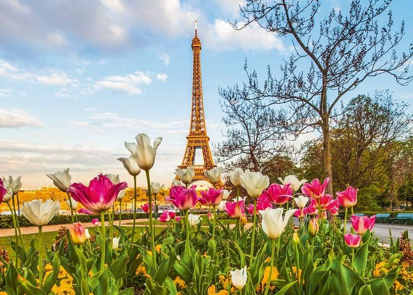 Tulpen in Parijs online puzzel