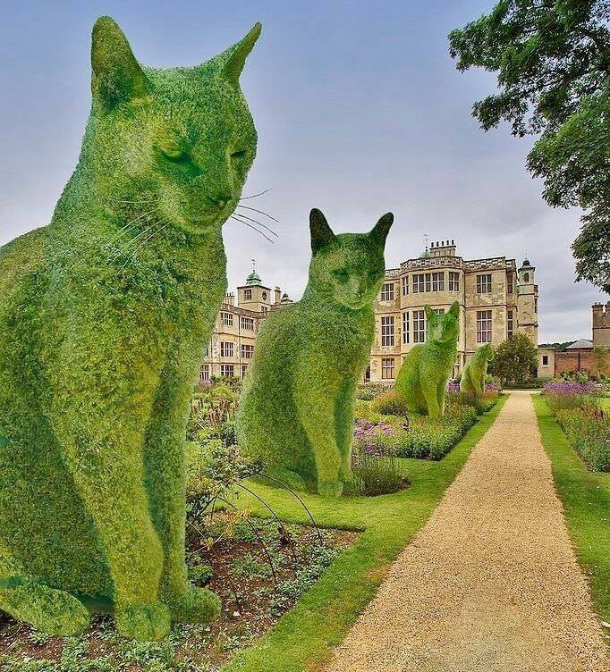Аллея зеленых кошек онлайн-пазл