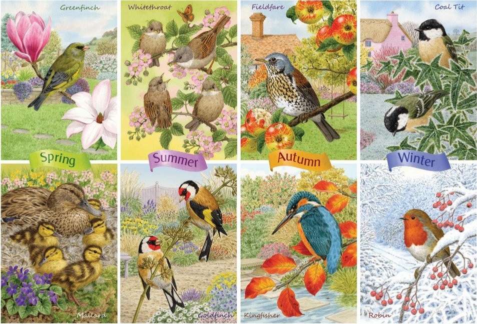 Vogels voor alle seizoenen. legpuzzel online
