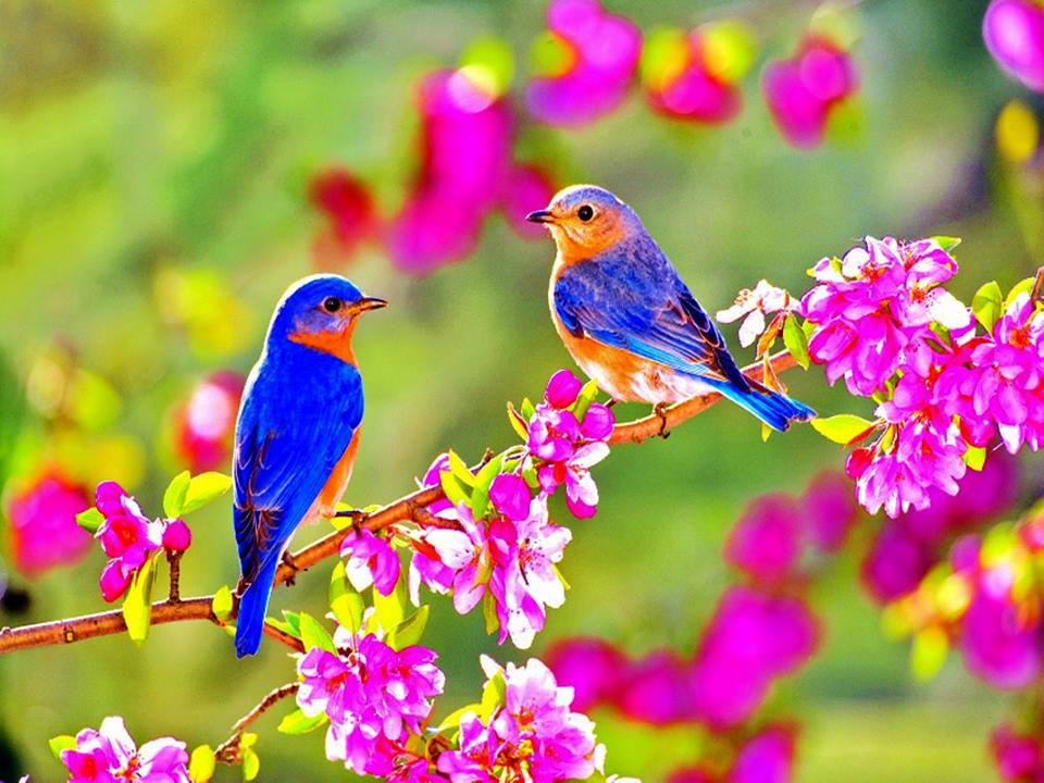Spring, Spring jigsaw puzzle online