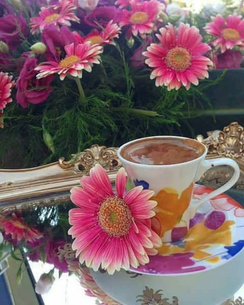 Gerberas and Coffee online puzzle