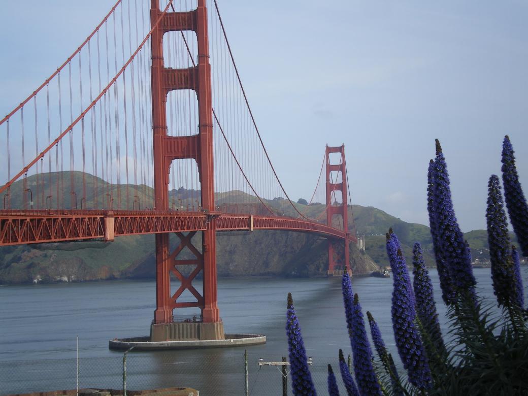 Golden Gate puzzle en ligne