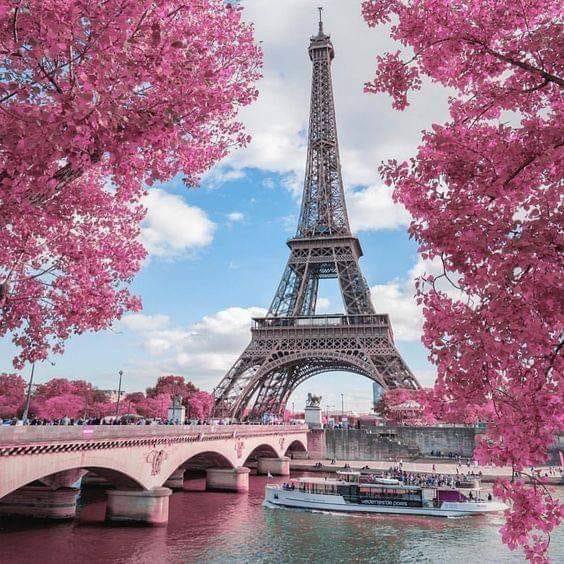 Paris et cerises en fleurs. puzzle en ligne