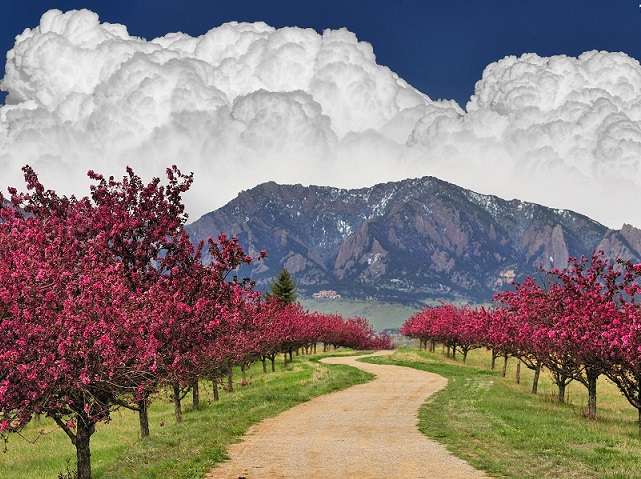 Montanhas, nuvens e árvores floridas puzzle online