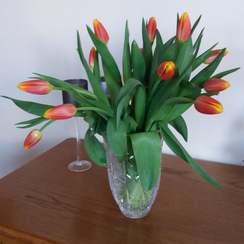 Tulipanes en un jarrón. rompecabezas en línea