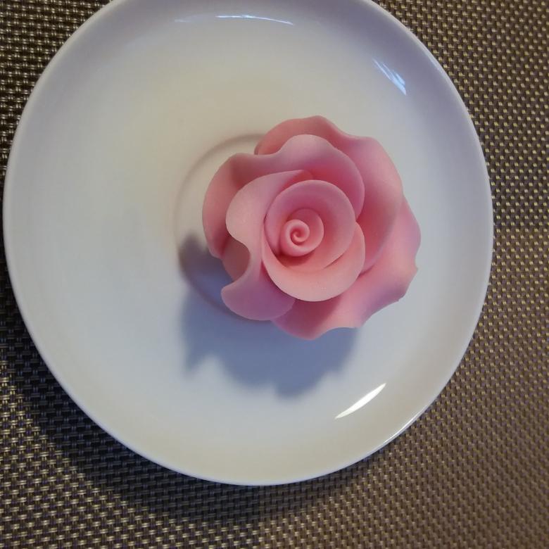 Edible rose, tea rose online puzzle