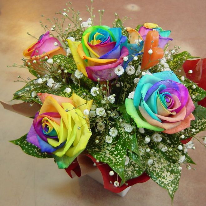 Rainbow rose Pussel online