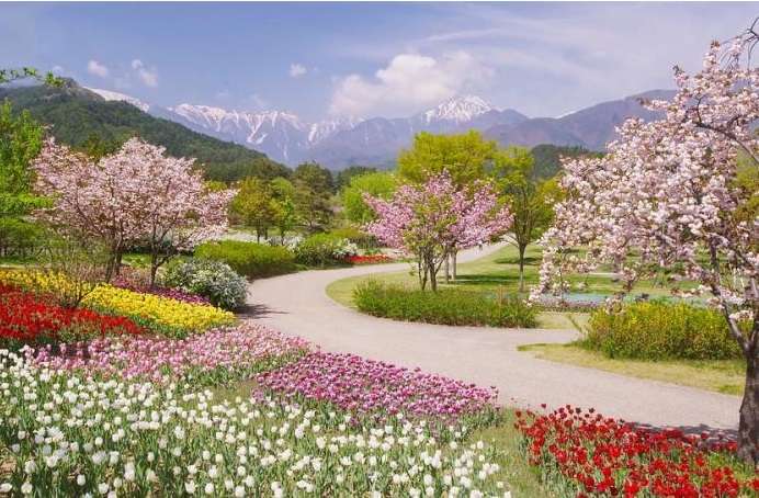 Frühling in den Alpen. Online-Puzzle