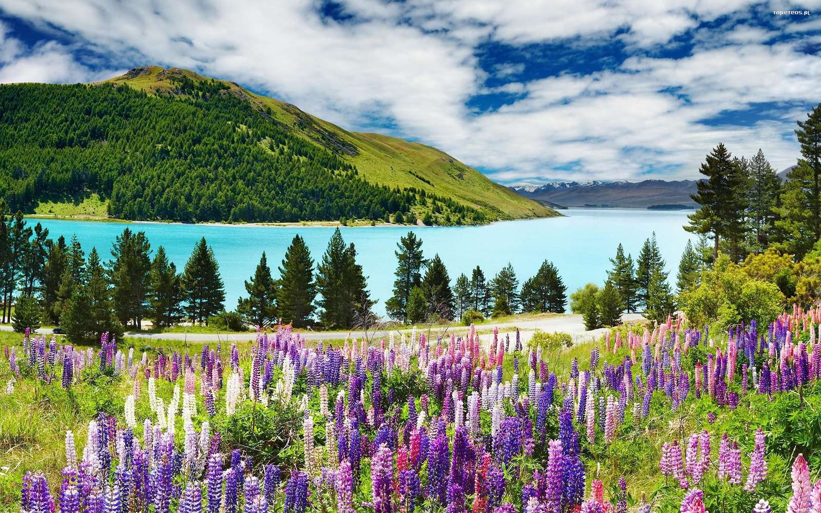 Spring charms of the mountains jigsaw puzzle online