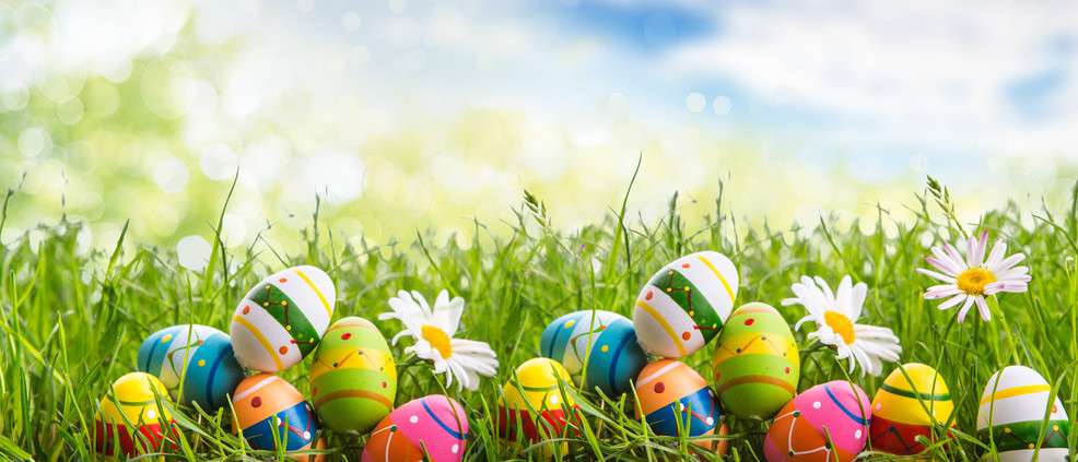 eggs jigsaw puzzle online