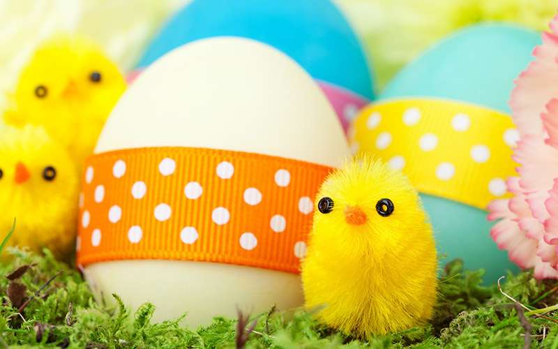 Csirkék és húsvéti tojások kirakós online