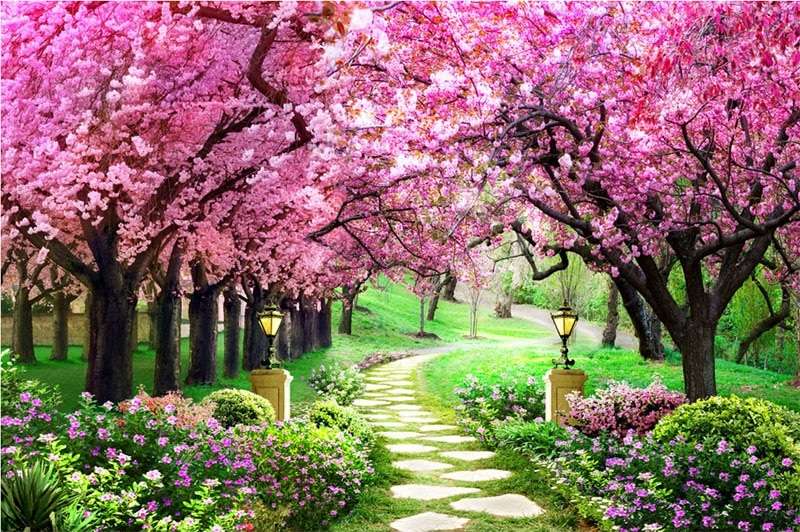Avenue parmi les arbres en fleurs puzzle en ligne
