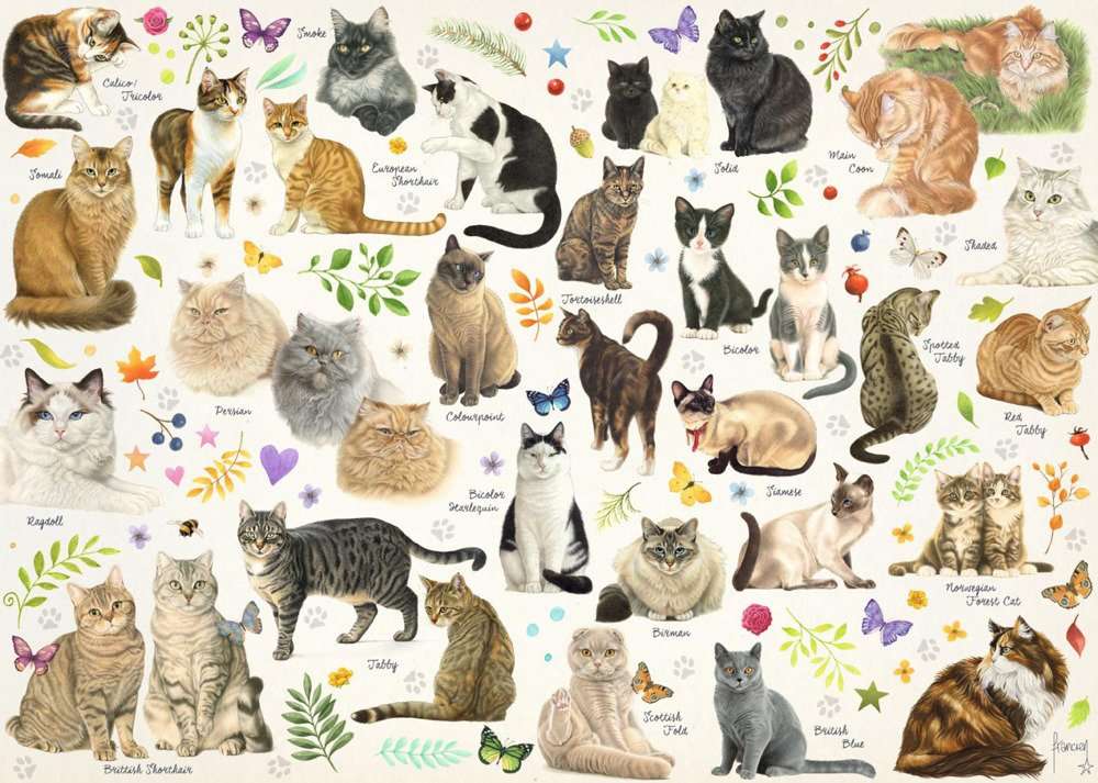 Famiglia di gatti puzzle online