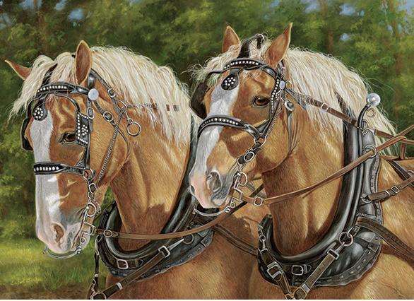 Gyönyörű lovak. online puzzle