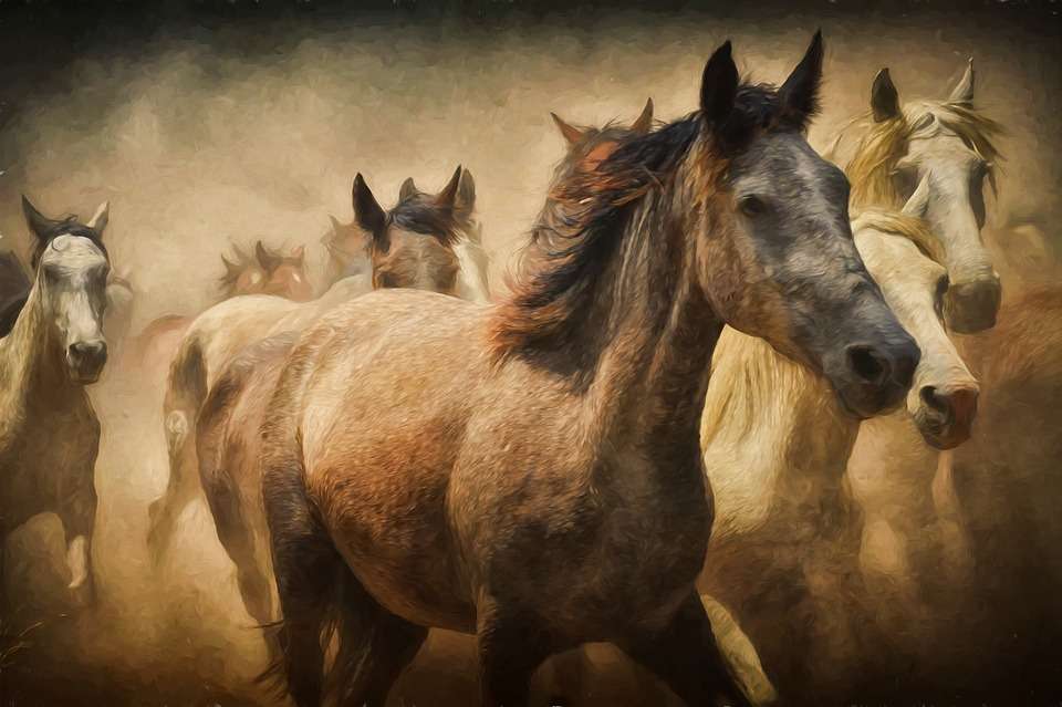 Cavalos a galope puzzle online