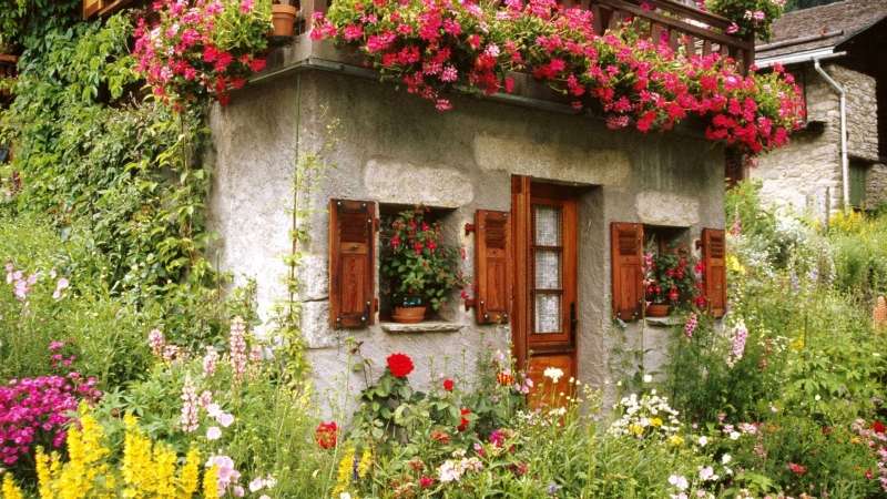 cottage house jigsaw puzzle online