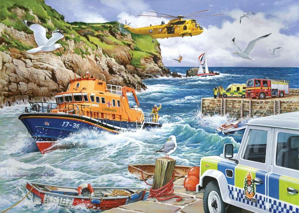 Operação de resgate na baía. puzzle online
