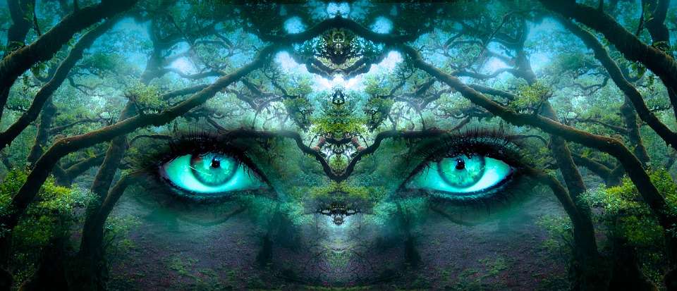 Ochi de pădure jigsaw puzzle online