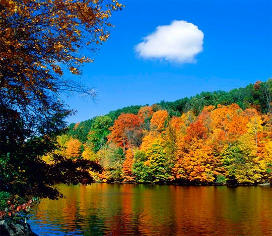 Autumn over the water. online puzzle