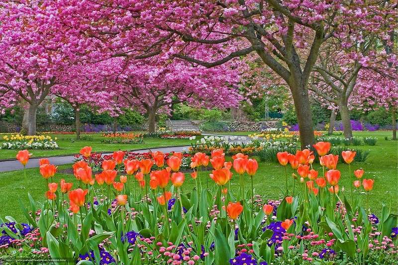 Våren i parken. pussel på nätet