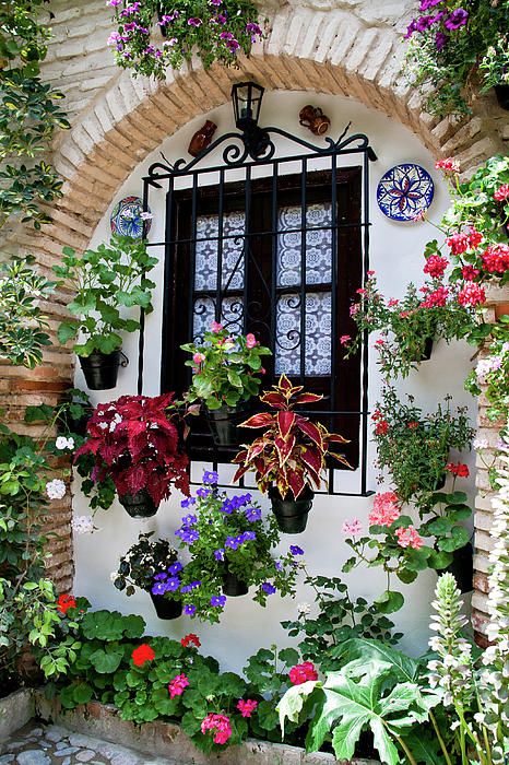 παράθυρο με λουλούδια παζλ online