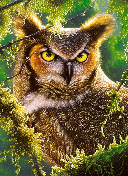 Bird: owl. online puzzle
