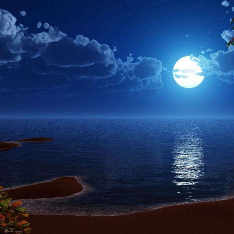 Νύχτα και θάλασσα, όπως παζλ online παζλ