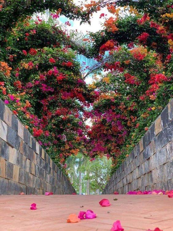 Tunnel floral puzzle en ligne