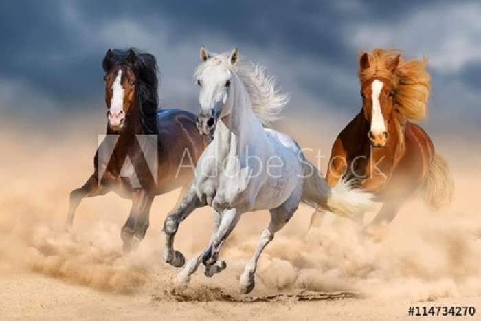 Three horses. online puzzle