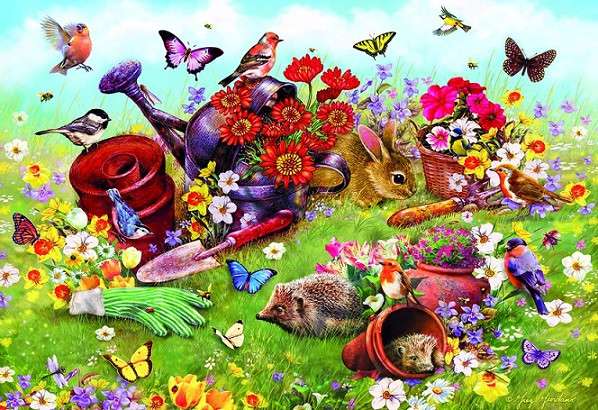 Animals. Birds. Insects. jigsaw puzzle online