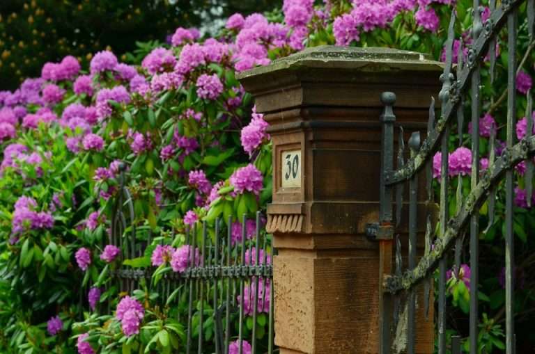 Un jardin et un banc parmi des fleurs puzzle en ligne
