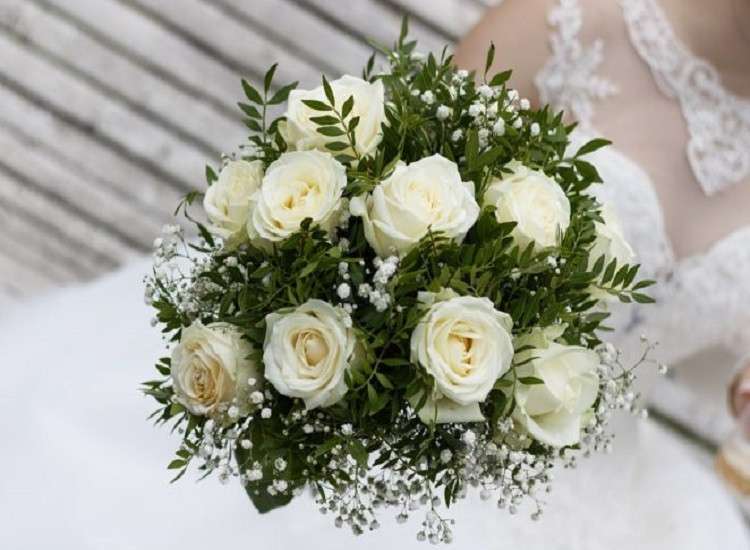 Rosas blancas rompecabezas en línea