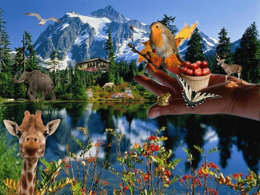 Animals in the landscape. online puzzle