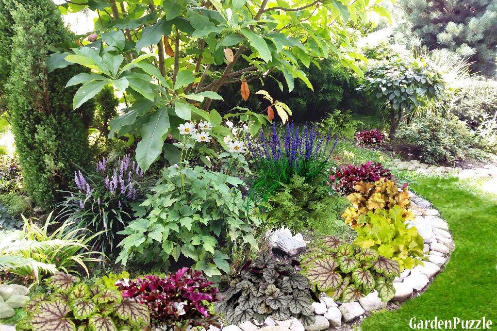 задния двор градина онлайн пъзел