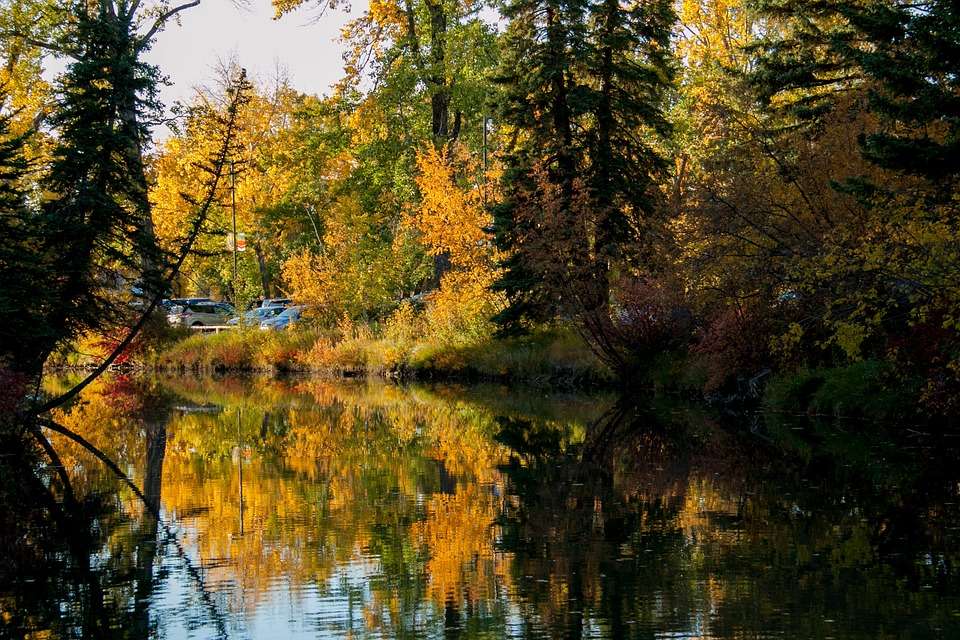 Herfst door de rivier online puzzel