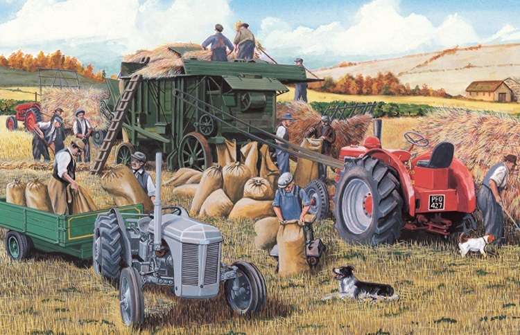 Zemědělská krajina. online puzzle
