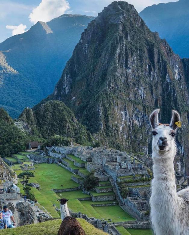 Andes, historic city and llamas online puzzle