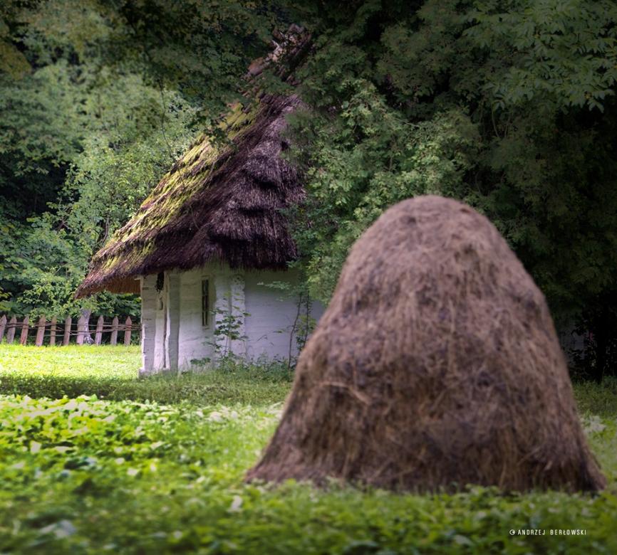 Cottage with straw thatched roof online puzzle