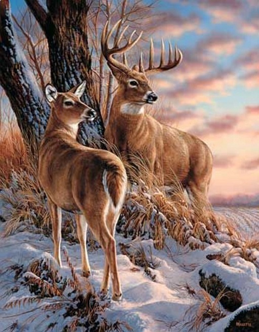 Deer and roe deer. online puzzle