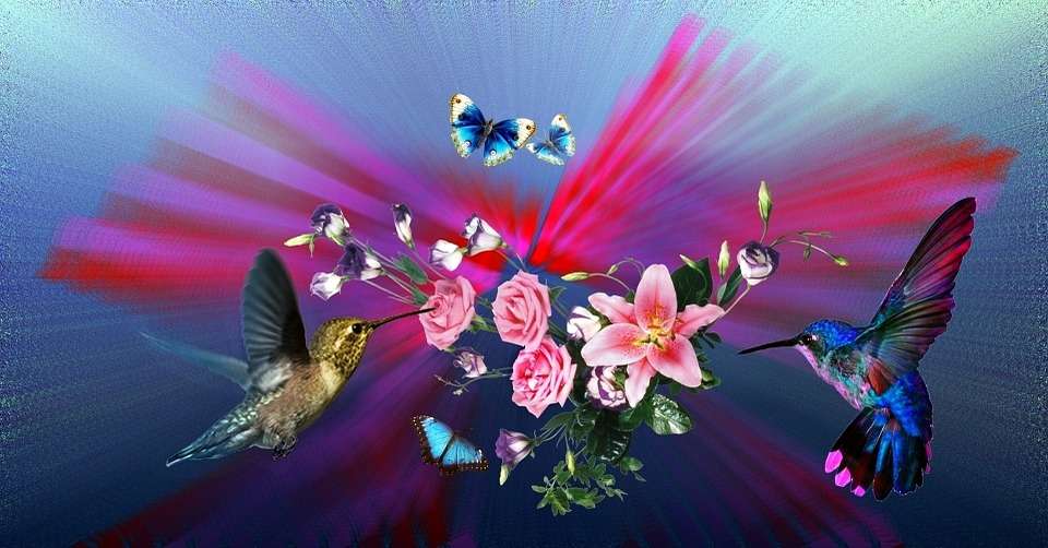 Κολίβρια και πεταλούδες online παζλ