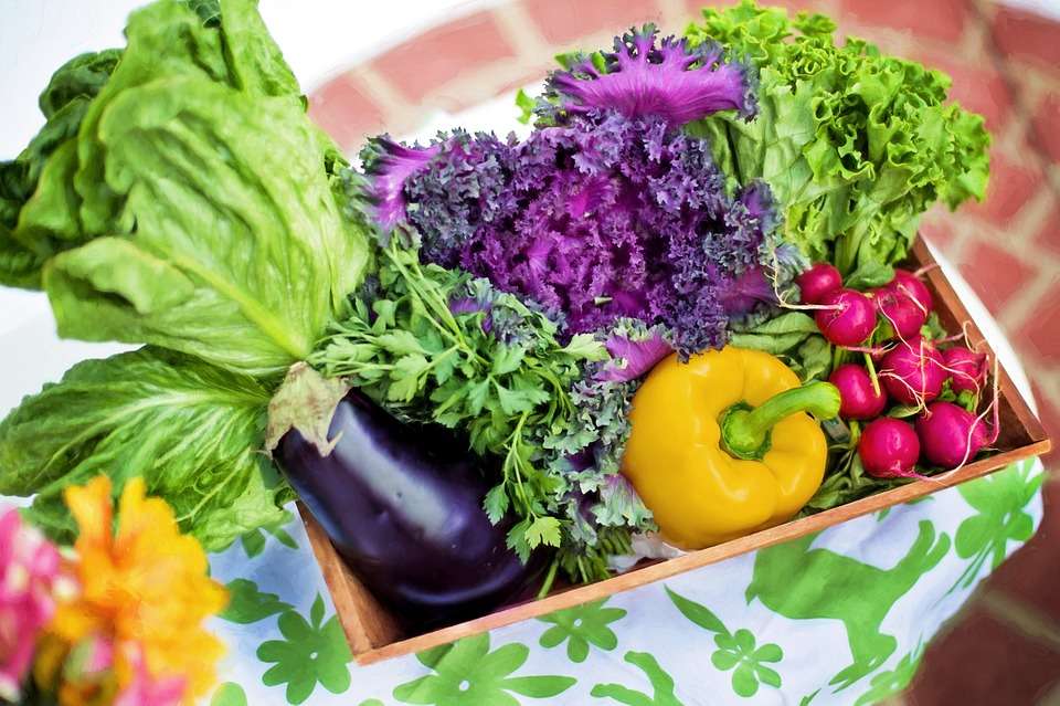 Букет от зеленчуци онлайн пъзел