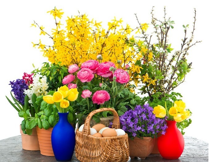 Пролетна и цветна. онлайн пъзел