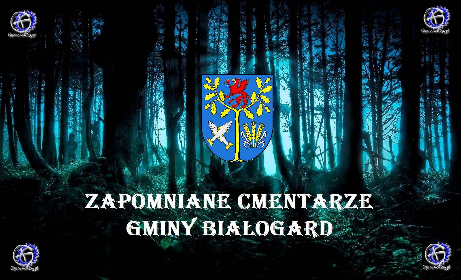 Glömda kyrkogårdar i Białogard-kommunen pussel på nätet