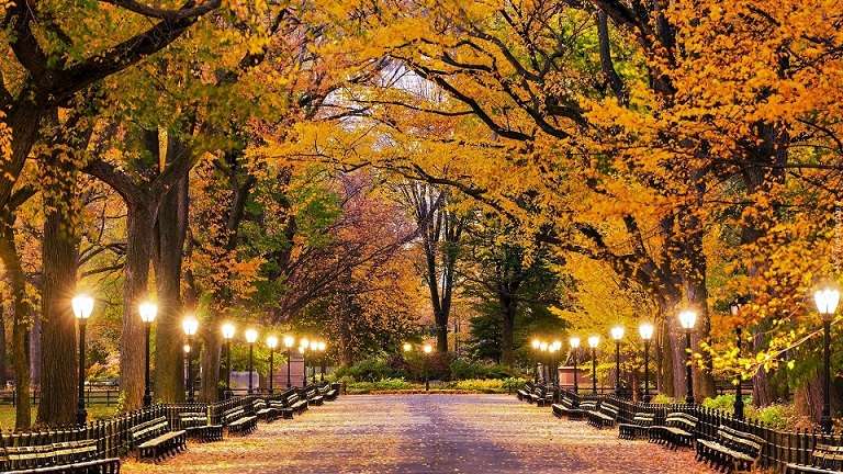 Alley in Central Park in New York. online puzzle