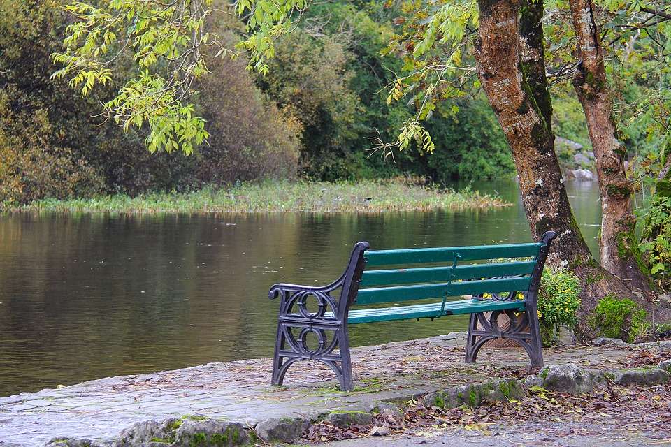 A bench by the river online puzzle