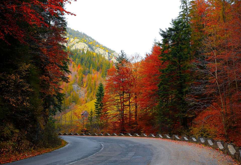Colorful road jigsaw puzzle online
