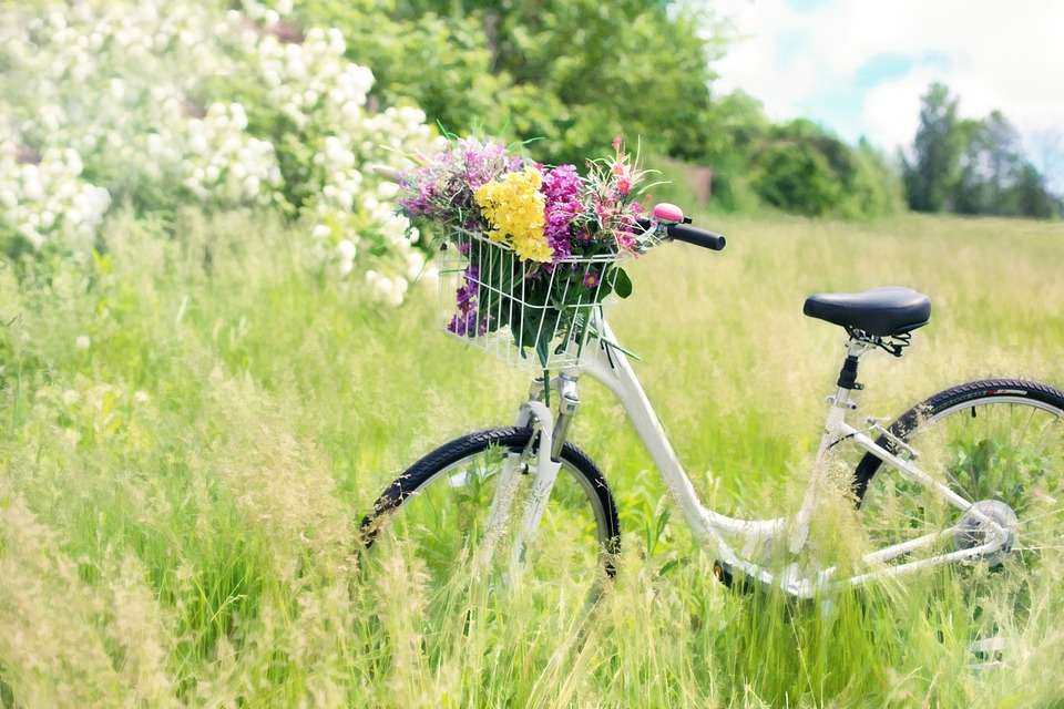 Vélo avec des fleurs puzzle en ligne